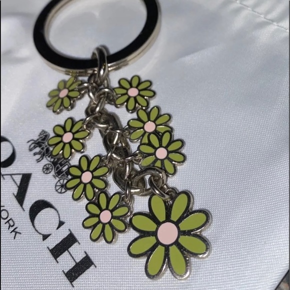 COACH VERY RARE NEW DAISY KEYCHAIN - Picture 1 of 6